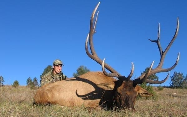 Elk hunting on the Gila National Forest in Southwestern New Mexico