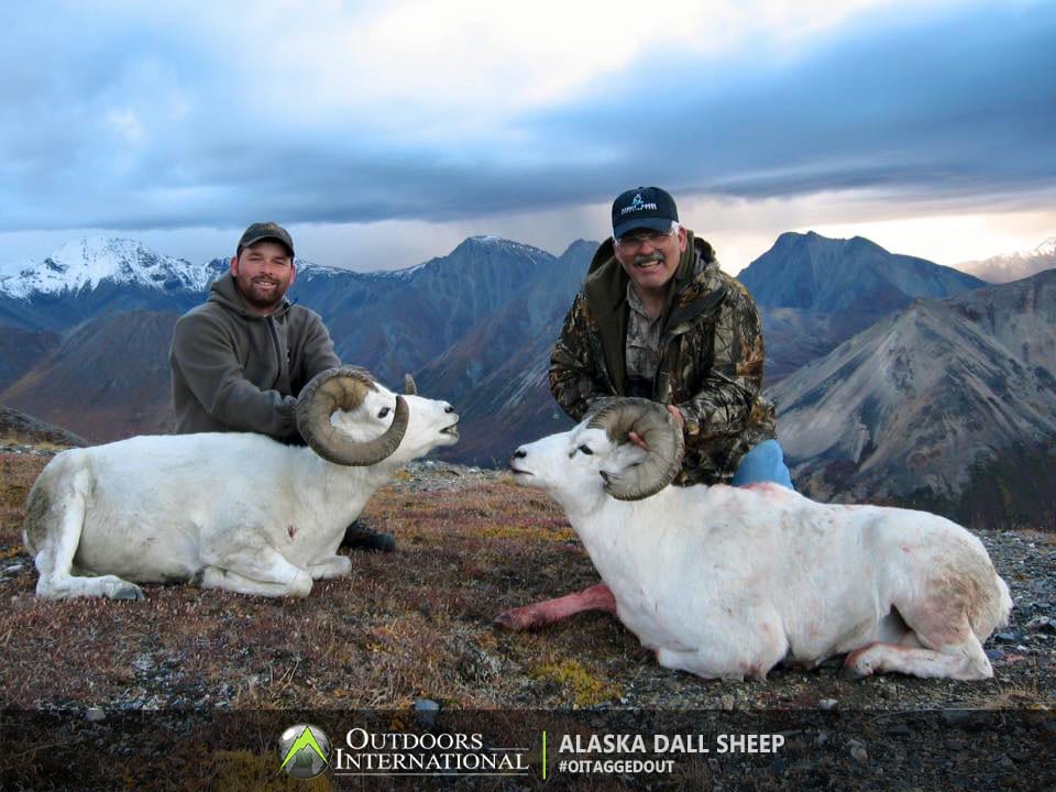 Most hunters have taken sheep in the 36”-38 1/2” range, with the largest to date being 40” ram scoring 166”s.