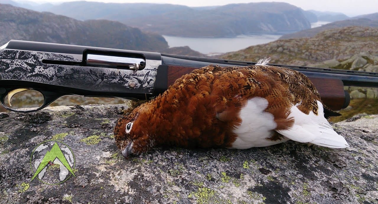 ptarmigan hunting