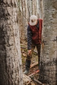 Blood trailing black bears