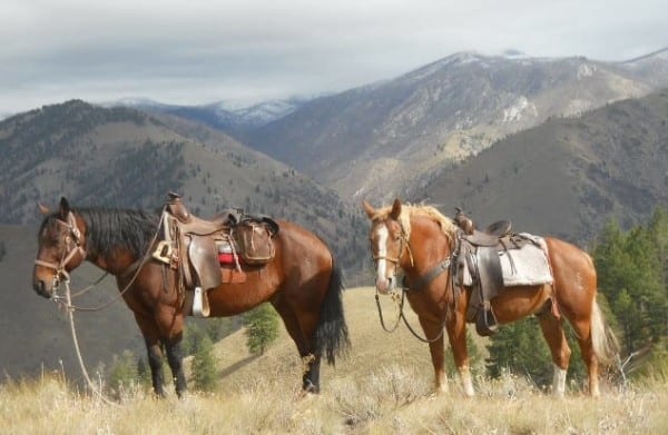 Idaho backcountry wilderness experience.