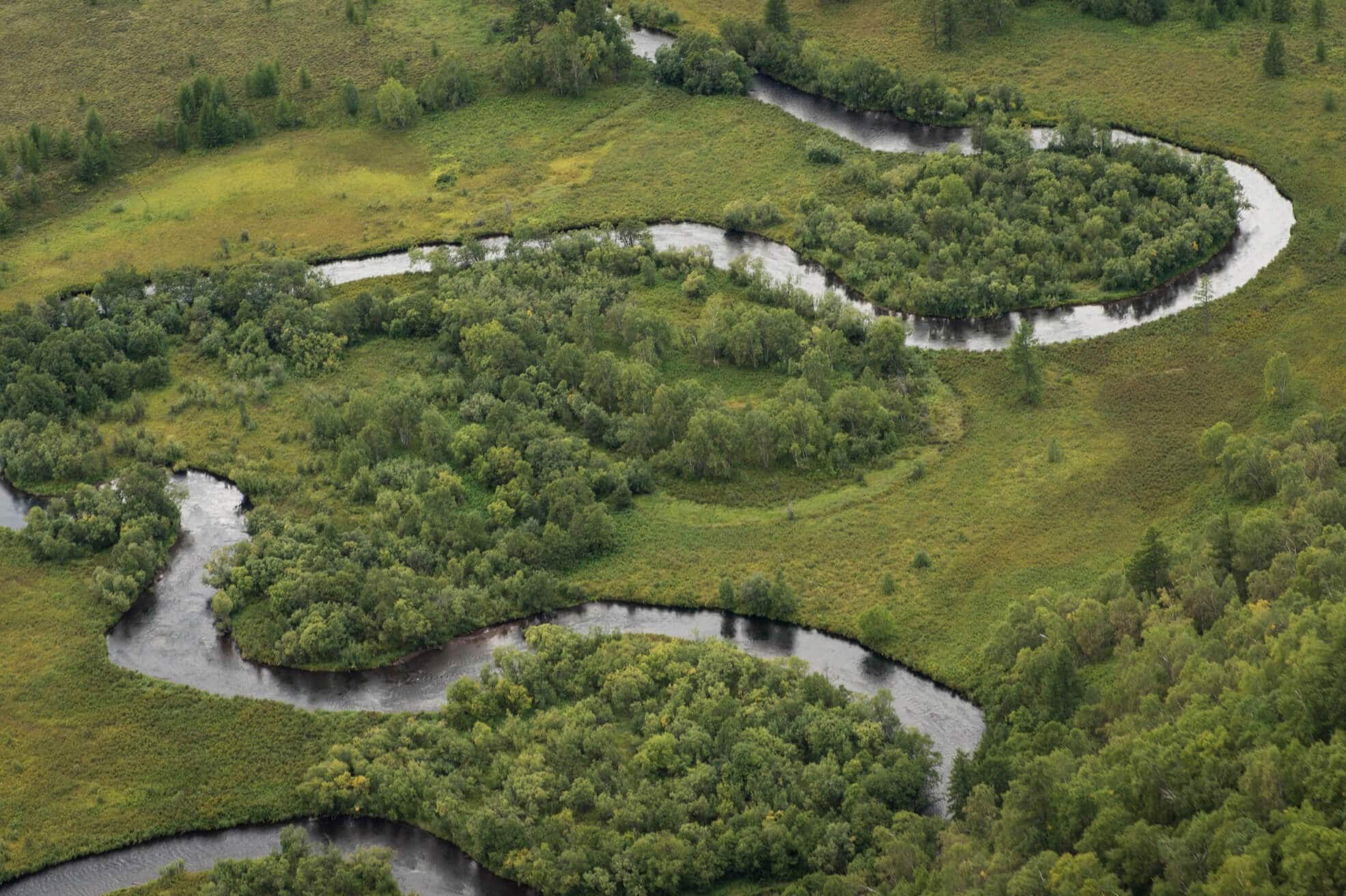 Braided trout river