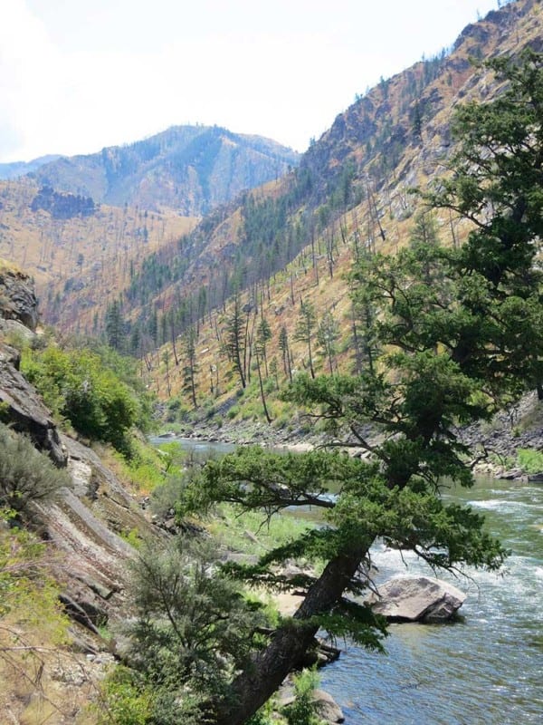 The beautiful Frank Church Wilderness Area in Central Idaho is an amazing place to explore with your family.