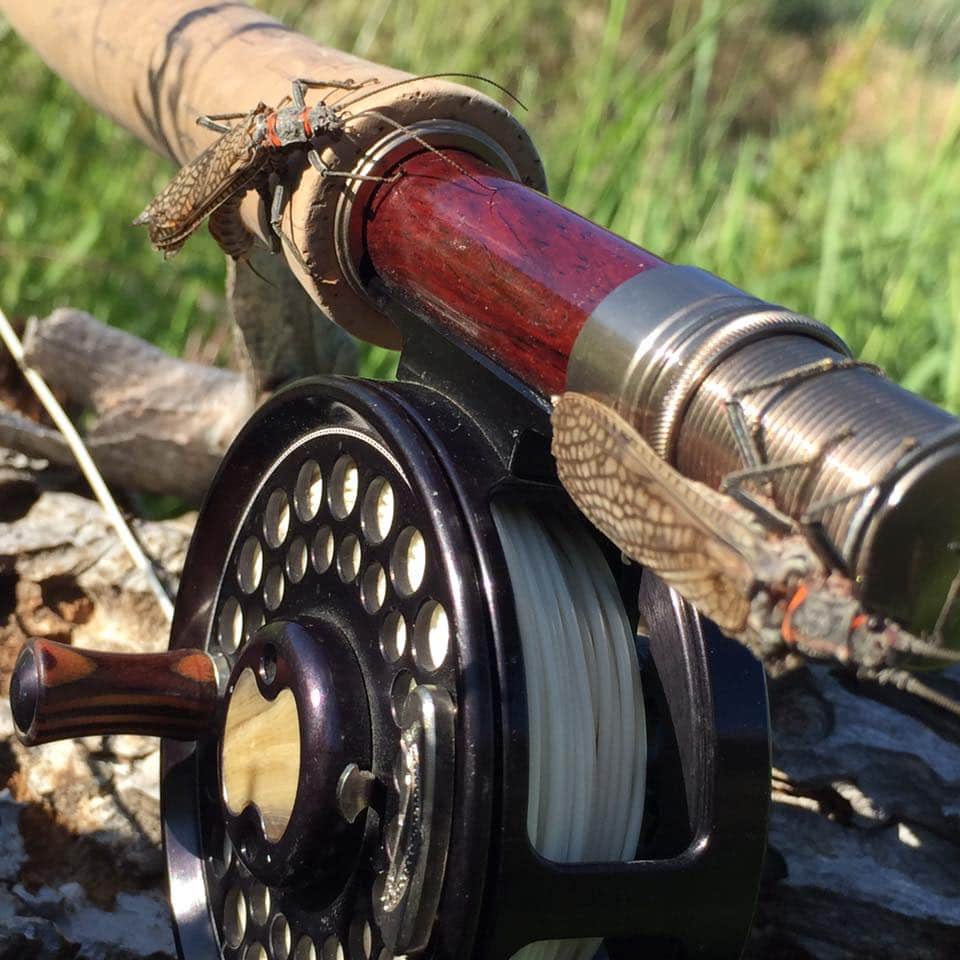 Salmonfly hatch on the Deschutes River