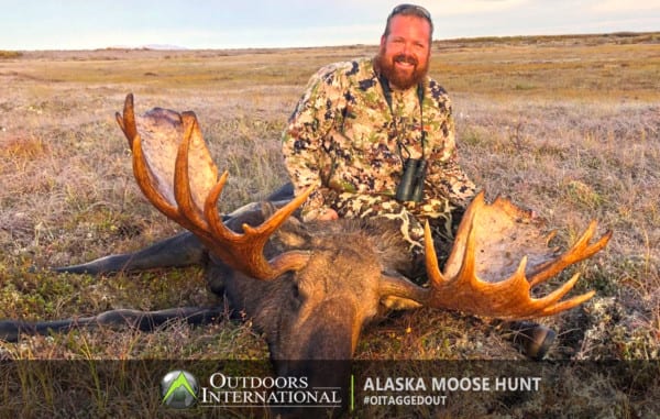 A great unguided moose