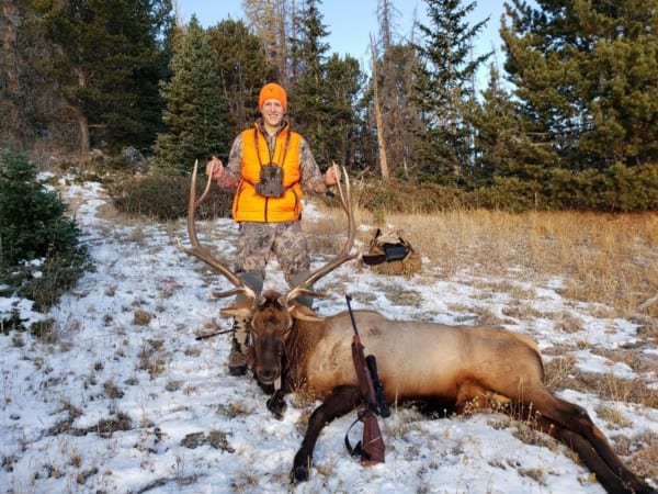 A great Colorado bull