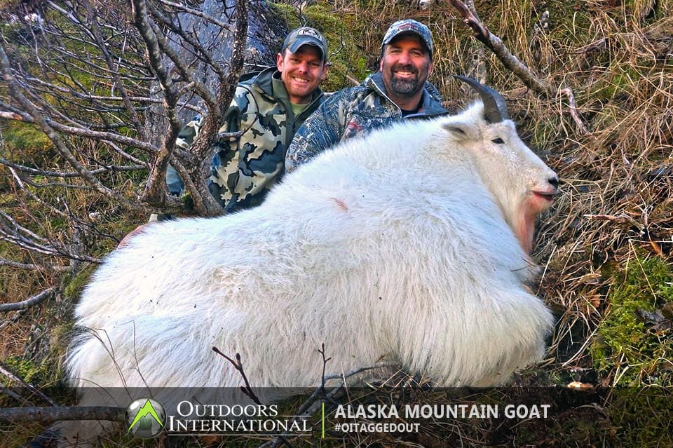 Mountain Goat Hunting Alaska on Kodiak Island