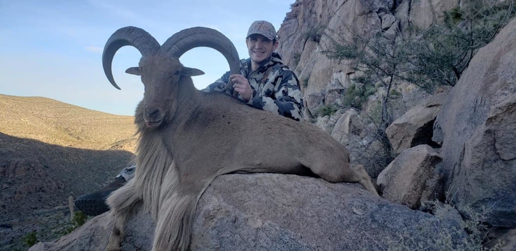 Aoudad hunting