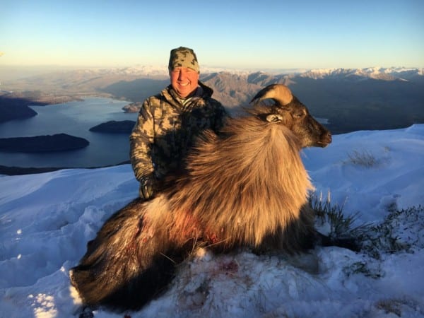 Tahr hunting in New Zealand