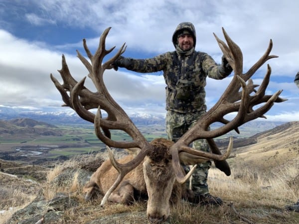 New Zealand Red Stag Hunt