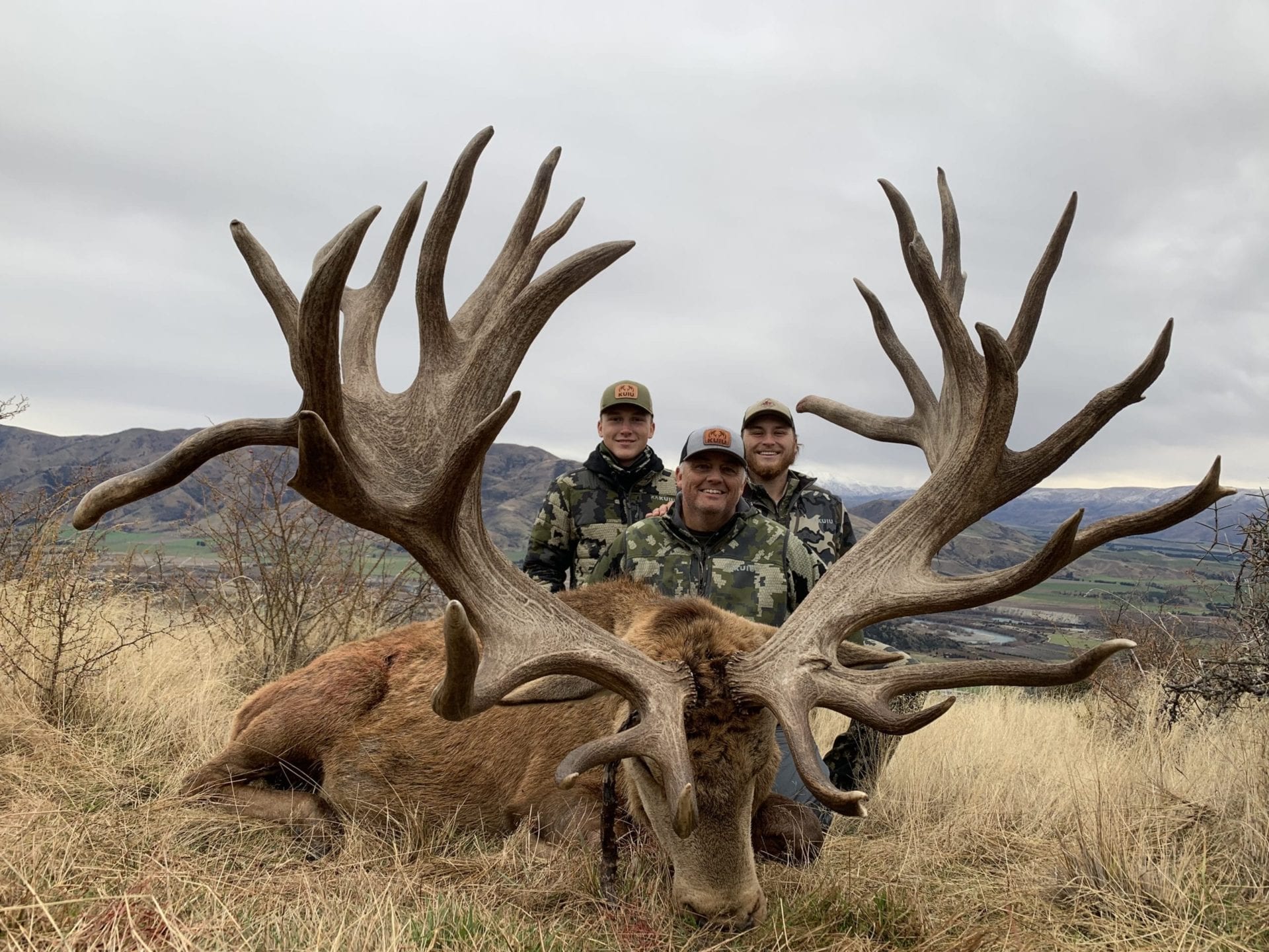 A giant New Zealand red stag