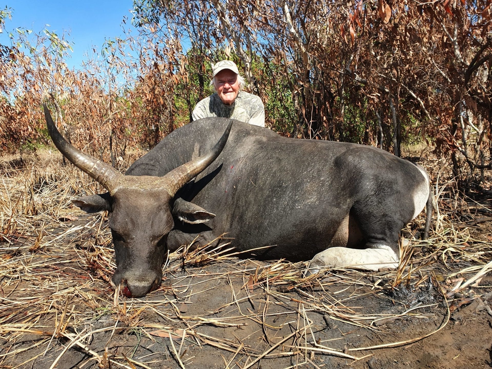 Banteng hunting in Norther Territory Australia