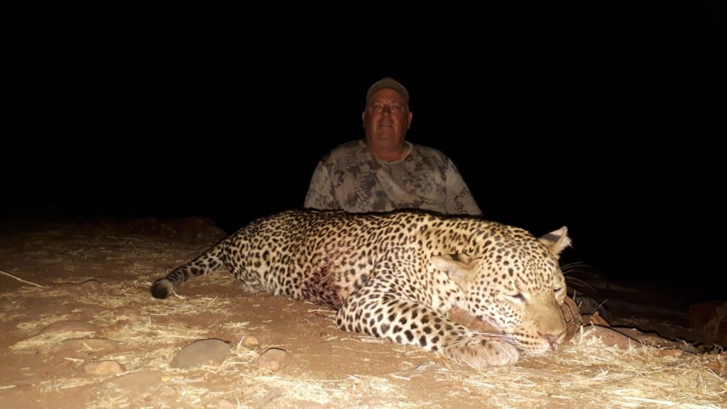 Leopard hunting in Zambia