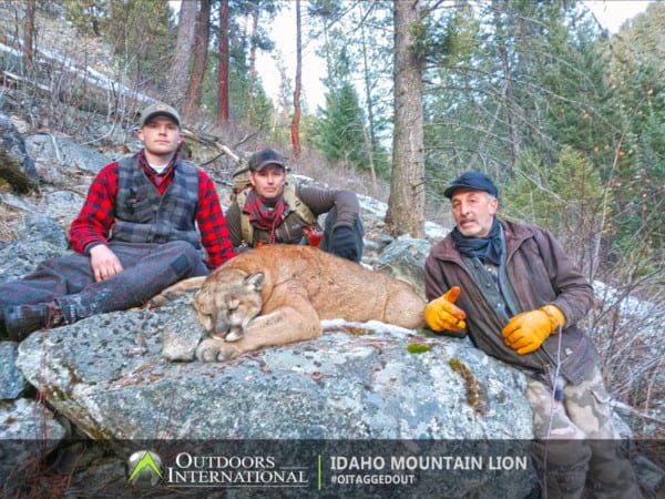 We were able to harvest a great mountain lion on the fourth day of the hunt.