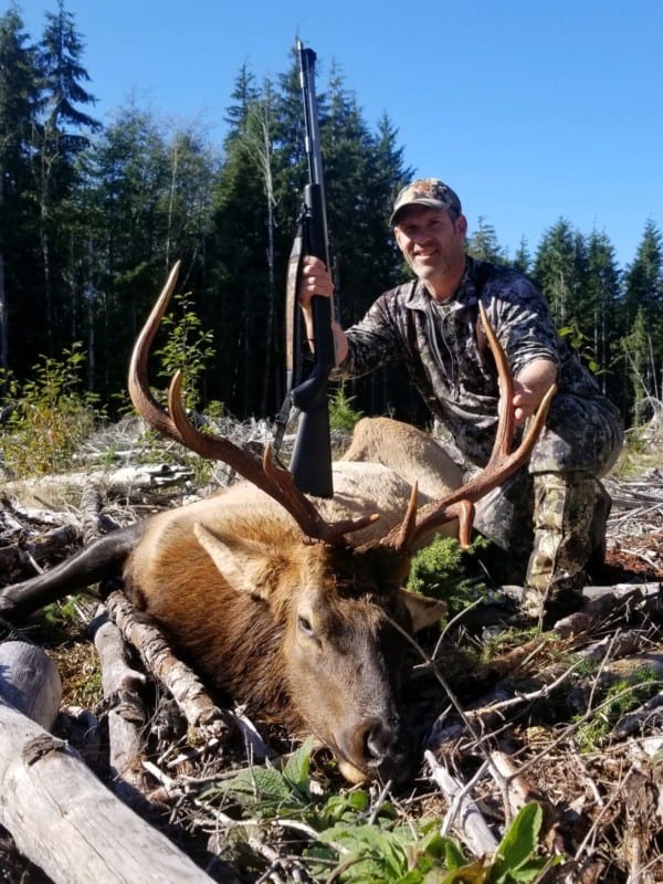 Roosevelt elk hunting in Washington
