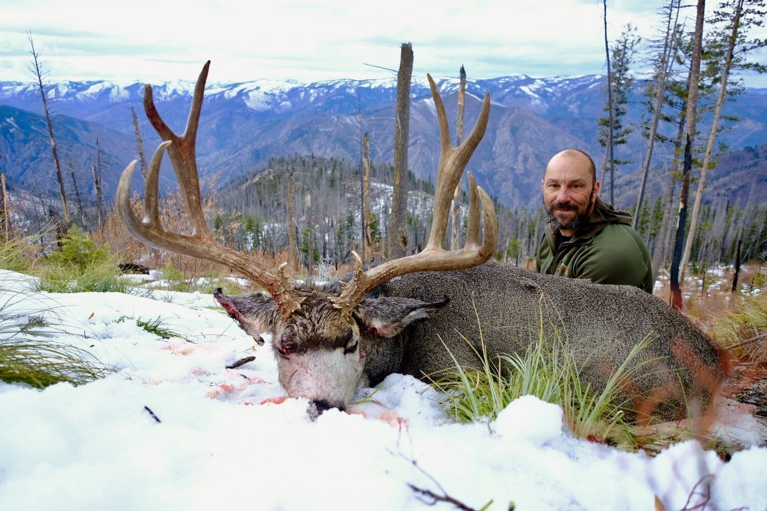 Idaho Wilderness Horseback Elk & Mule Deer Hunt OIWMO1 » Wilderness