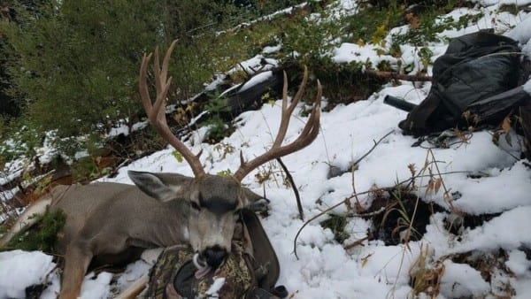 September 15 – November 18th season options