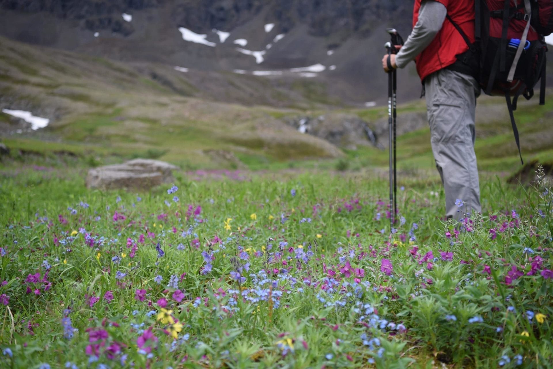 Hiking in Alaska