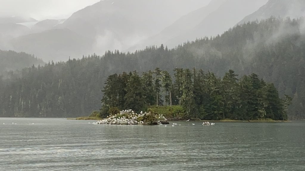 Prince William Sound in Alaska