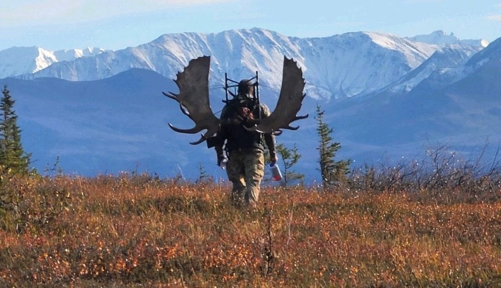 Unit 19 Alaska Moose Hunt #BAKO2