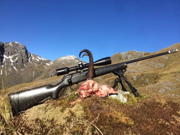 A giant chamois buck.