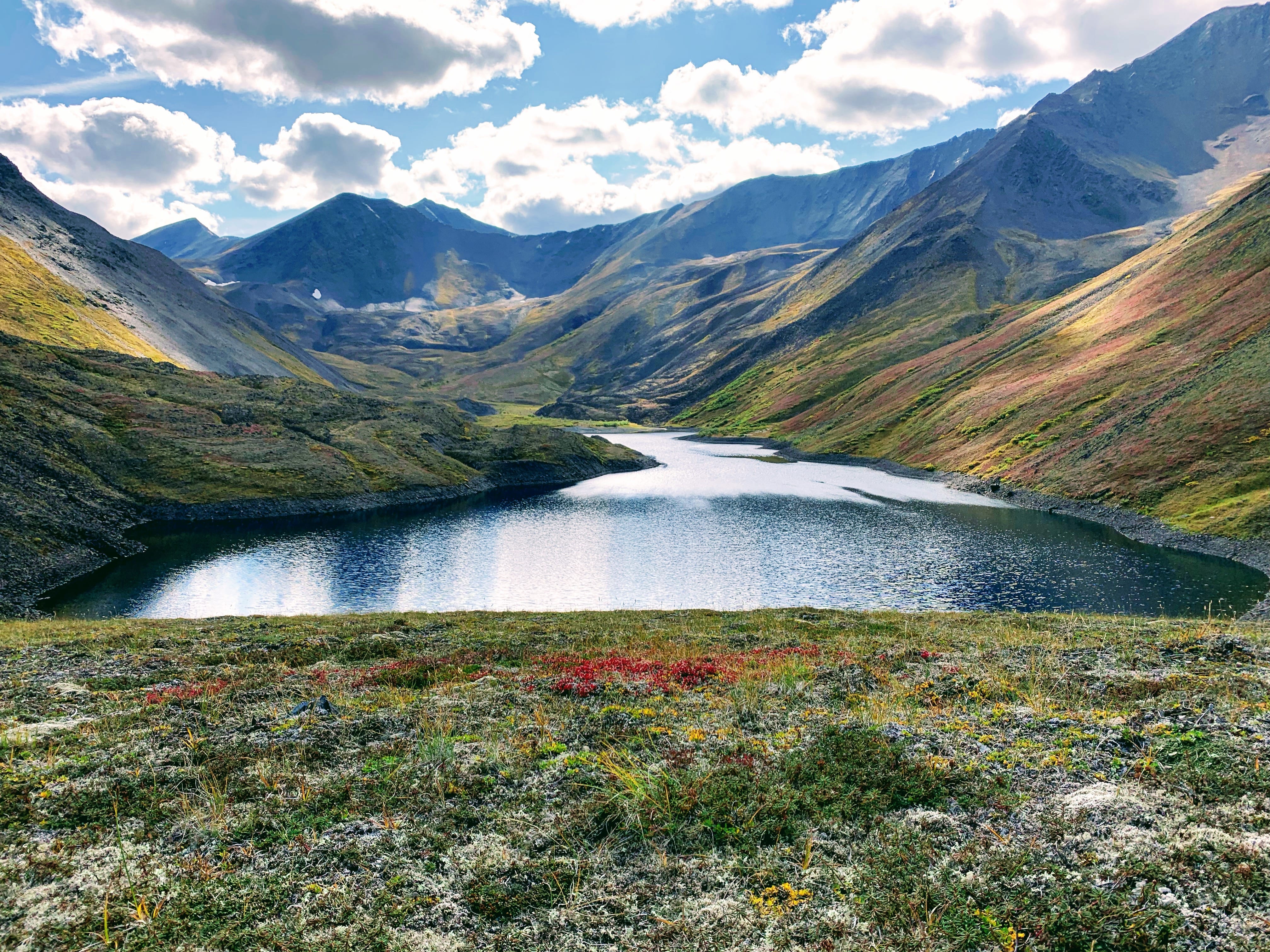 Our focus will be on finding the Trophy animal you are looking for. We hunt with both Guns and Bows depending on the desire of the client.