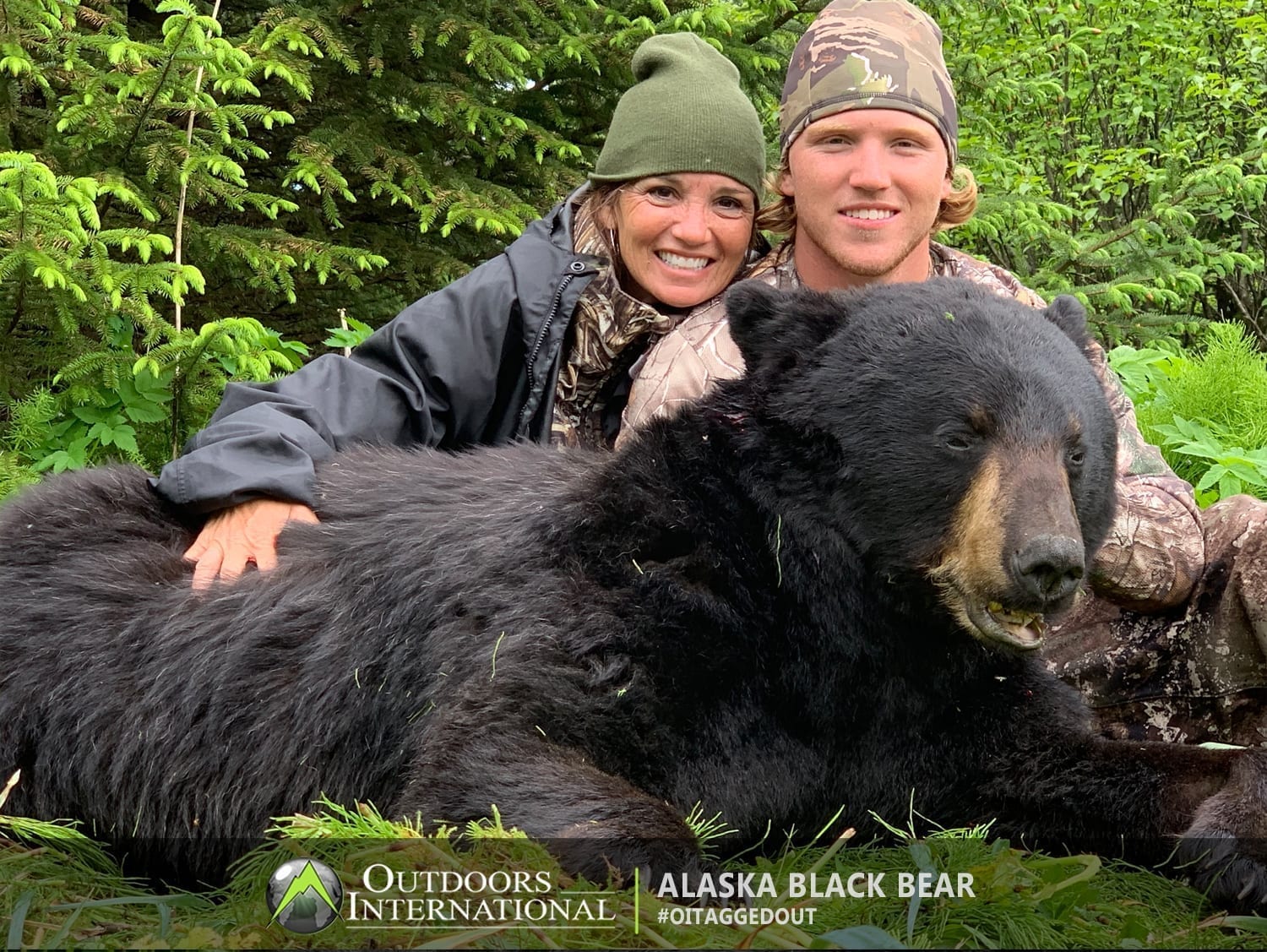 A giant Alaska black bear