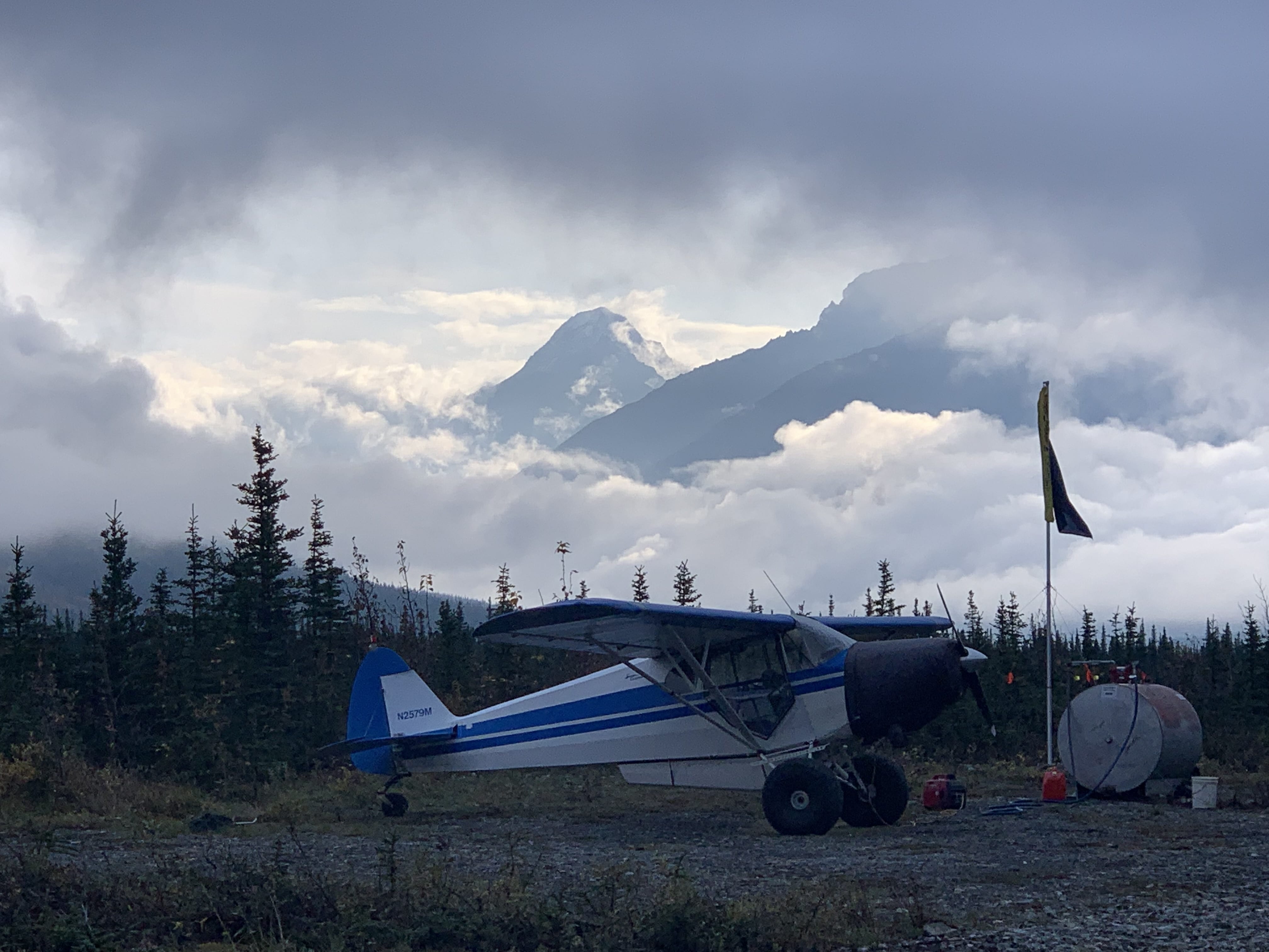 Our focus will be on finding the Trophy animal you are looking for. We hunt with both Guns and Bows depending on the desire of the client.