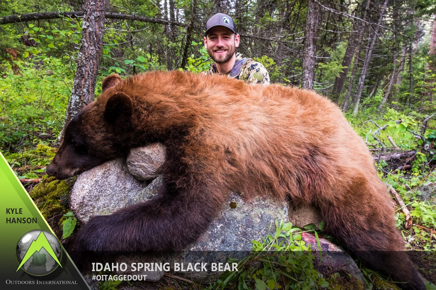 Kyle Hanson's beautiful Idaho spring bear