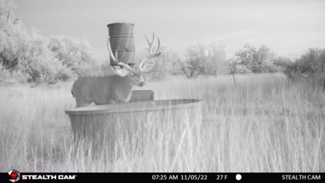 This outfitter spends a lot of effort to scout.