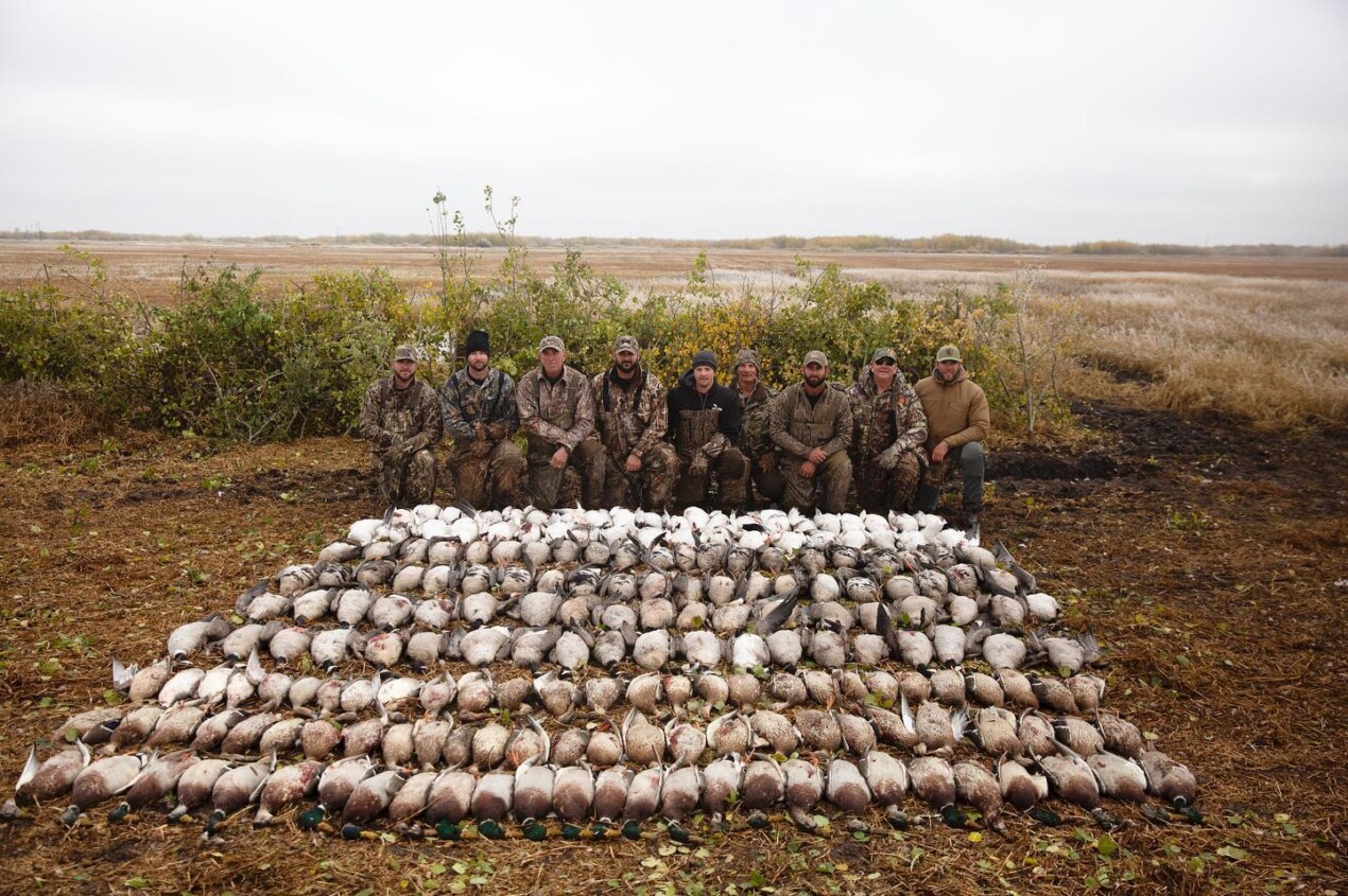 An amazing day of Alberta waterfowl hunting