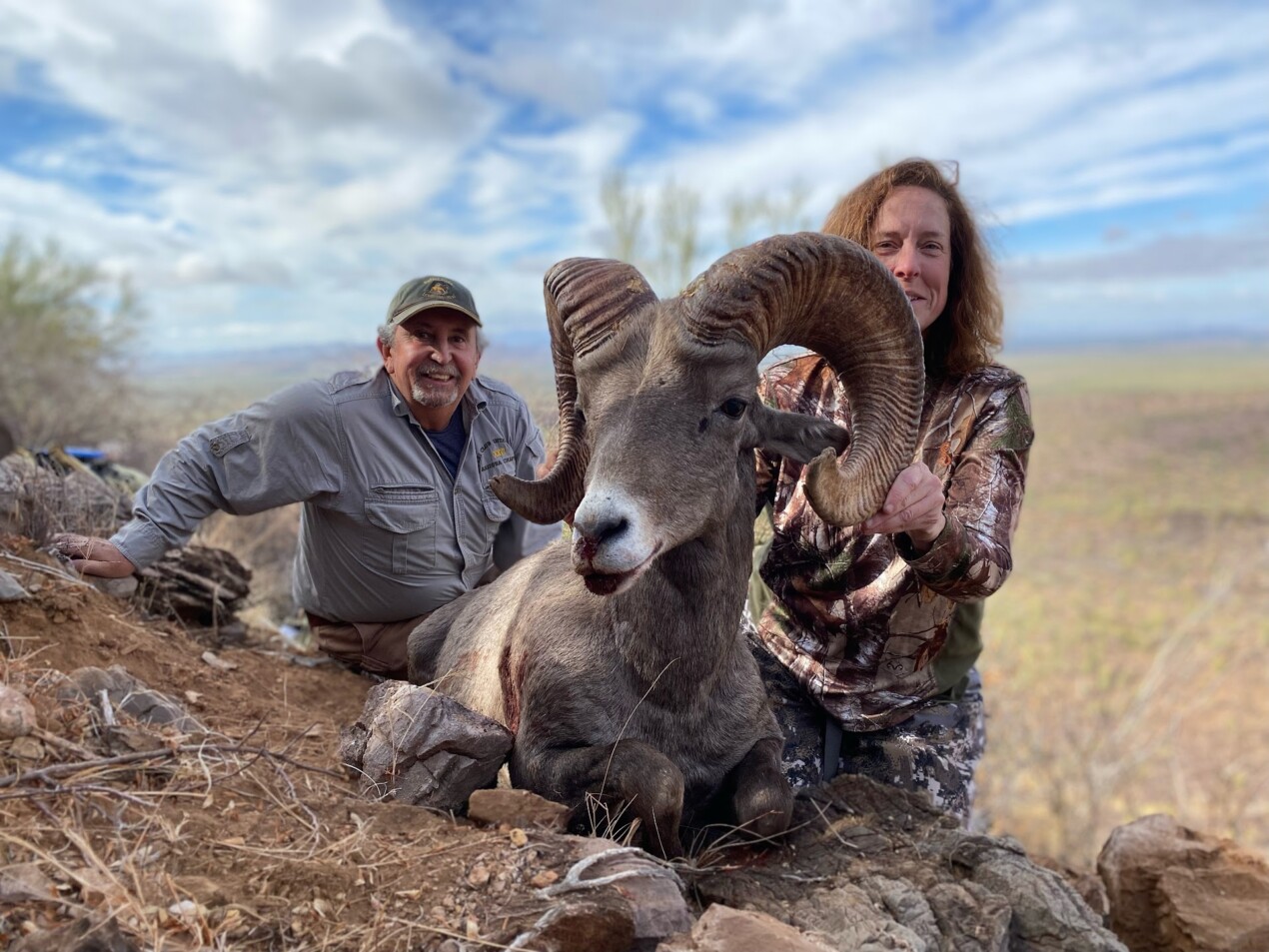 Desert Bighorn Sheep hunting in Mexico