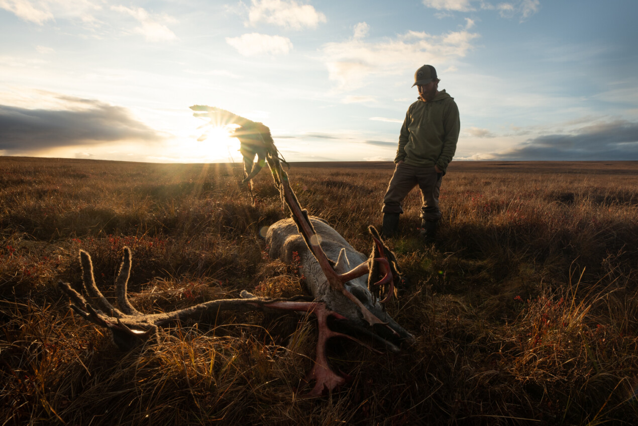 One thing is certain, whether you get your bull or not, you will have an adventure. Alaska is ALWAYS an adventure.