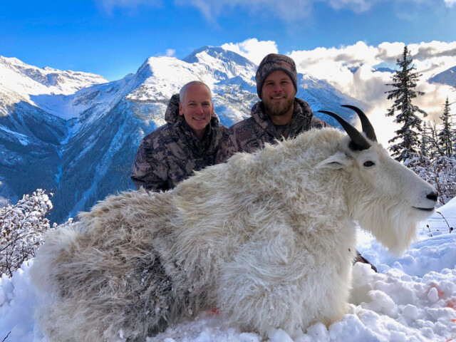 A great British Columbia Mountain Goat
