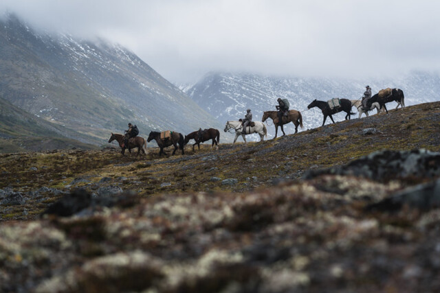Horseback hunting in British Columbia