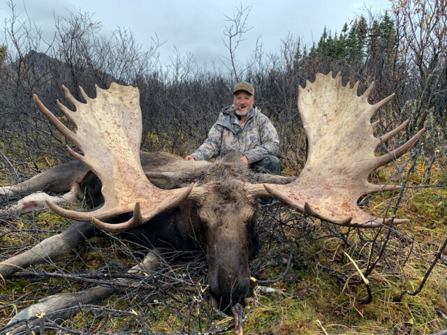 British Columbia Moose Hunt