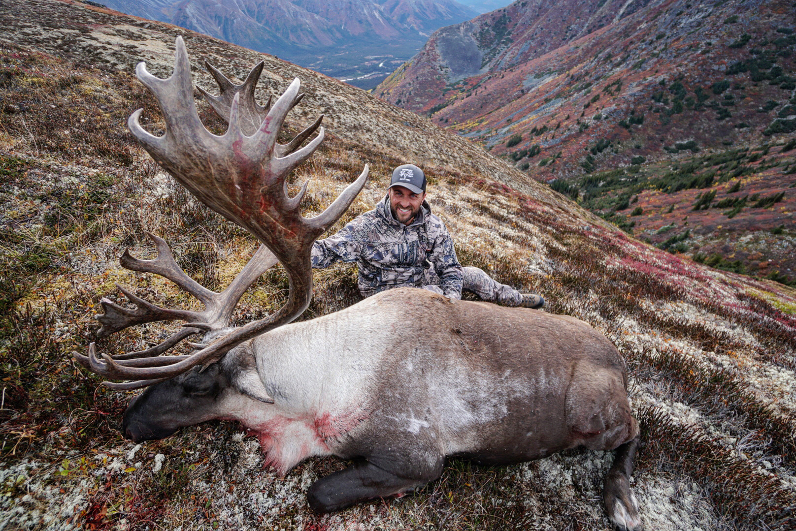A giant mountain caribou taken on this hunt in the Yukon.