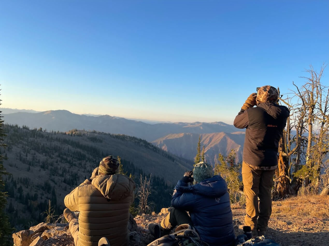 Glassing for elk in the Frank Church Wilderness