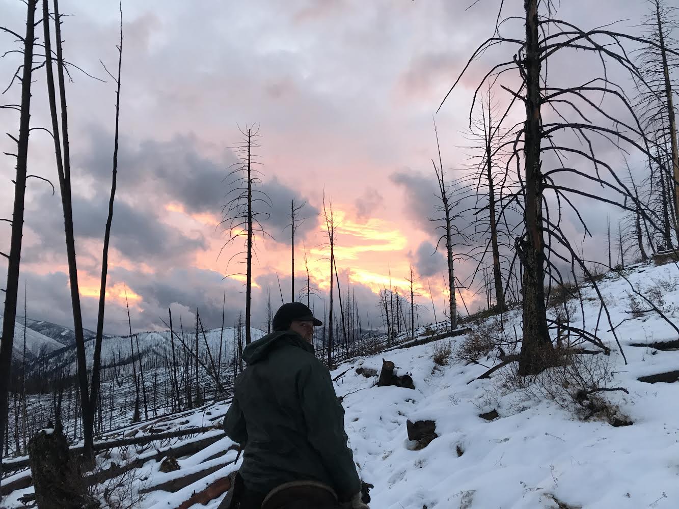 First light in the wilderness.