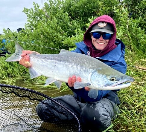 Coho on the Togiak show up fresh from the ocean, bright, powerful, and with energy to spare.