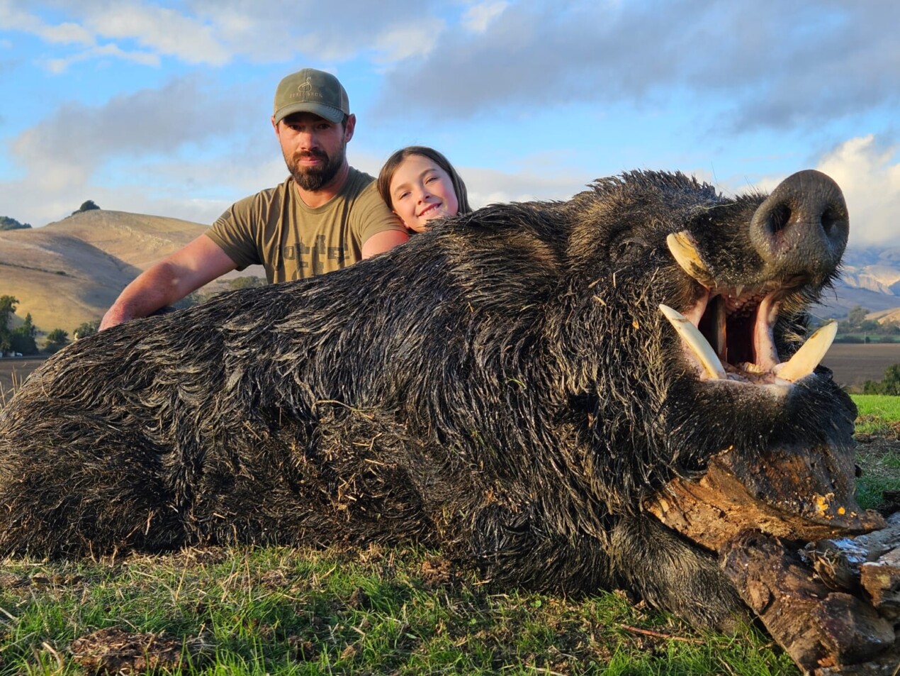 California Wild Boar Hunts