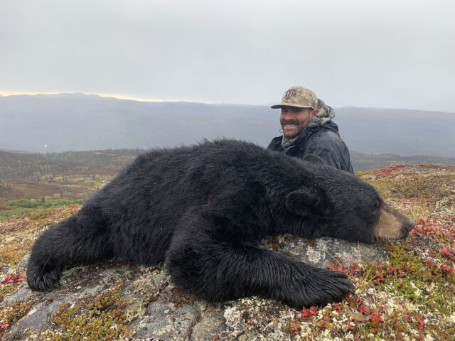 Unguided bear hunts in Alaska