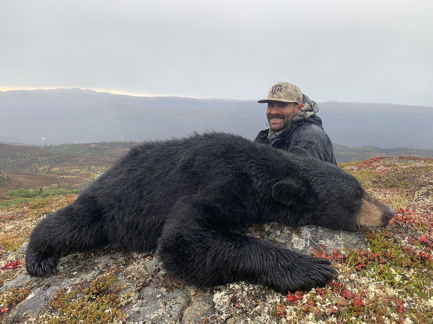 Unguided bear hunts in Alaska