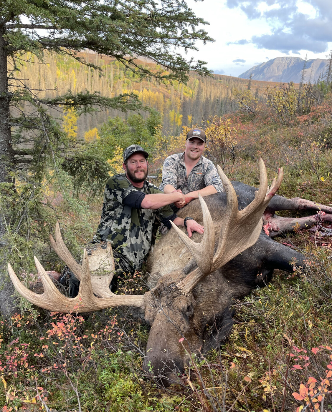 Trophy Moose, Grizzly Combo Hunts in Alaska