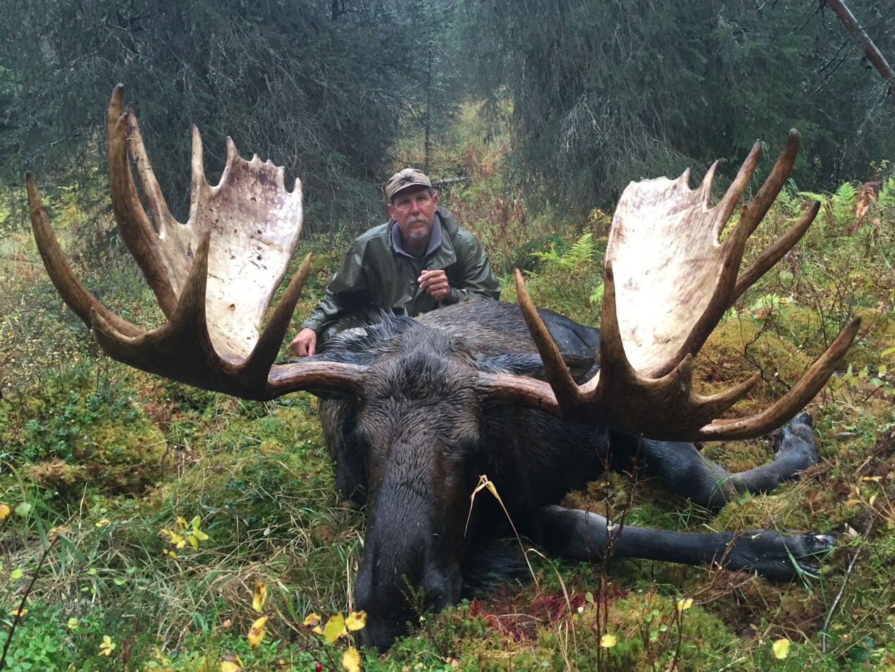 DIY Moose Hunting in Alaska