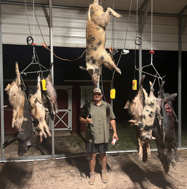 Texas Hog Hunt