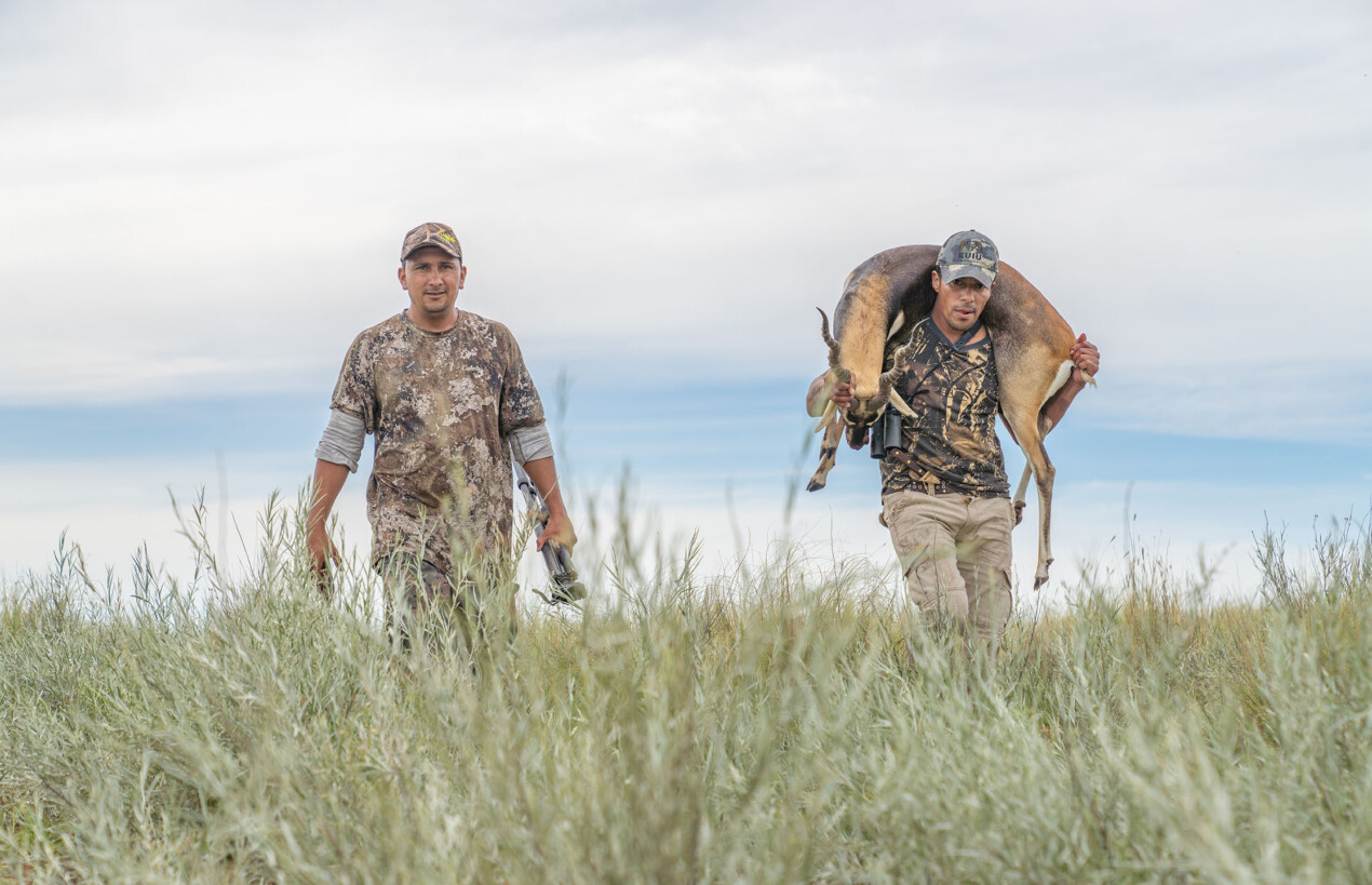 Guides packing out a blackbuck.