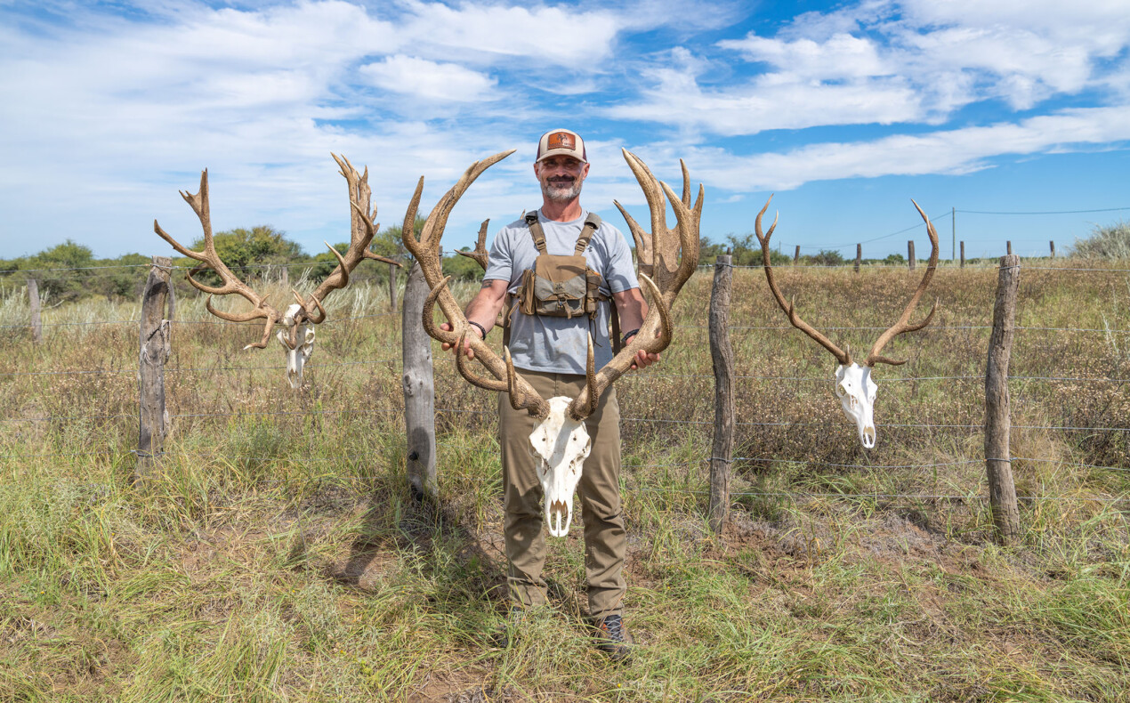 Upgrade your hunt with an estate stag.