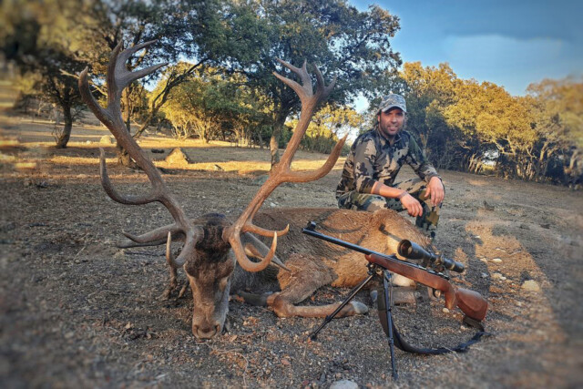Iberian Red Deer Hunting in Spain