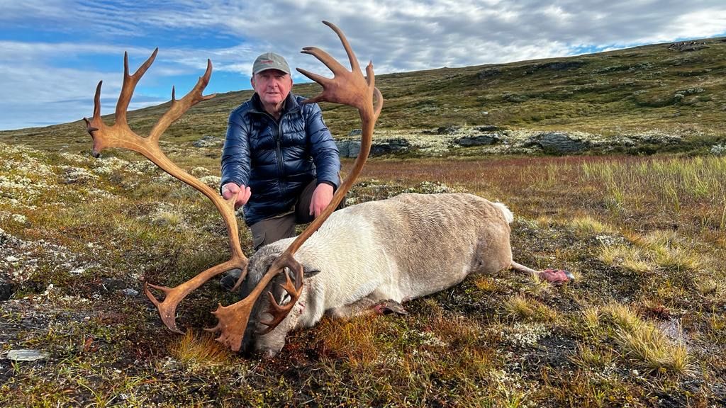 Norway Reindeer Hunt